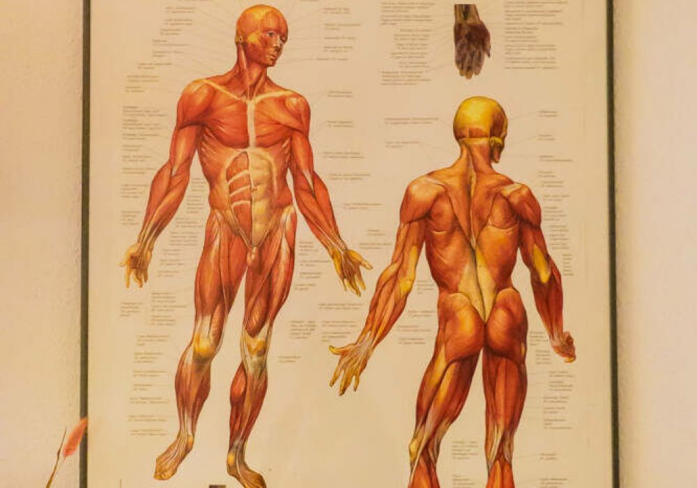 Physiotherapie